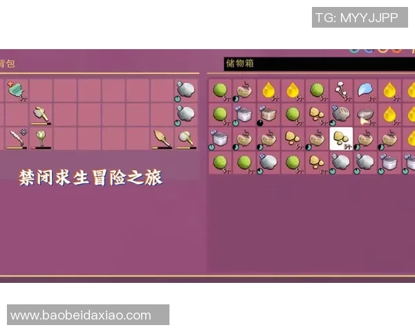 琼斯的冒险之旅：探索未知世界的奇幻故事与成长历程