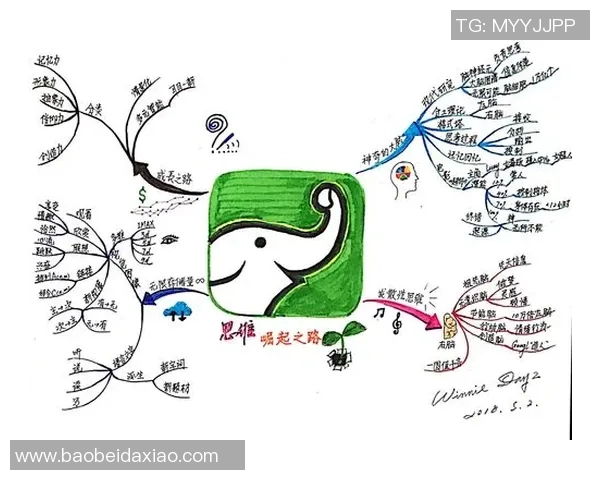 阿青年与大学生的生活挑战与成长之路的深度对比与思考