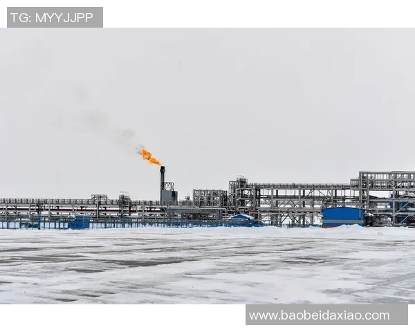 亚马尔地区的能源战略与全球气候变化的互动分析 亚马尔地区的能源战略与全球气候变化的互动分析