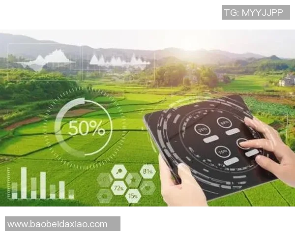 京东不死鸟与金泽的较量谁将成为电商领域的新王者 京东不死鸟与金泽的较量谁将成为电商领域的新王者