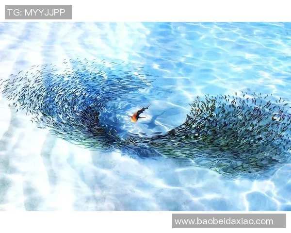 仙台七夕与海洋的奇妙交融探寻传统与自然的美丽结合