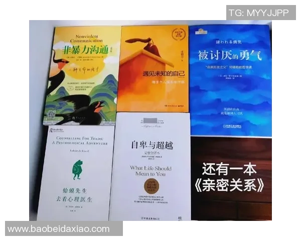 景菡一的成长旅程：追寻梦想与自我发现的心灵探索之路